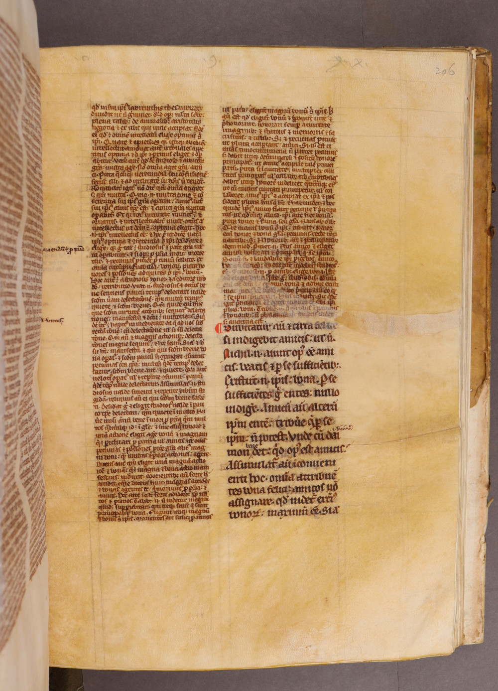 Folio 206 recto